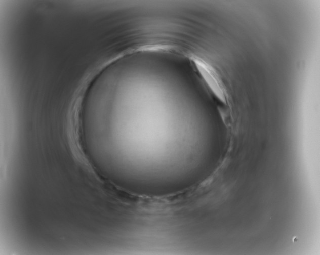 X0000088490337200706051422