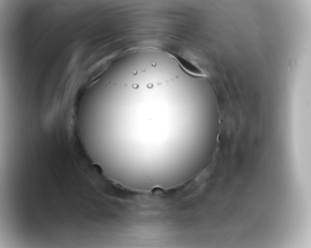 X0000088490338200706051422