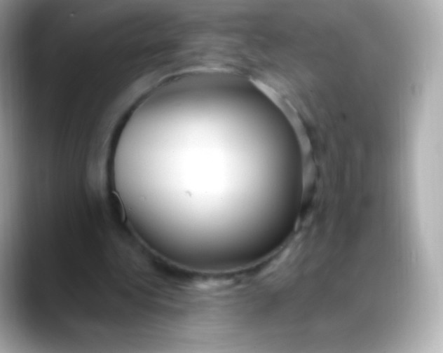 X0000088490340200706051422