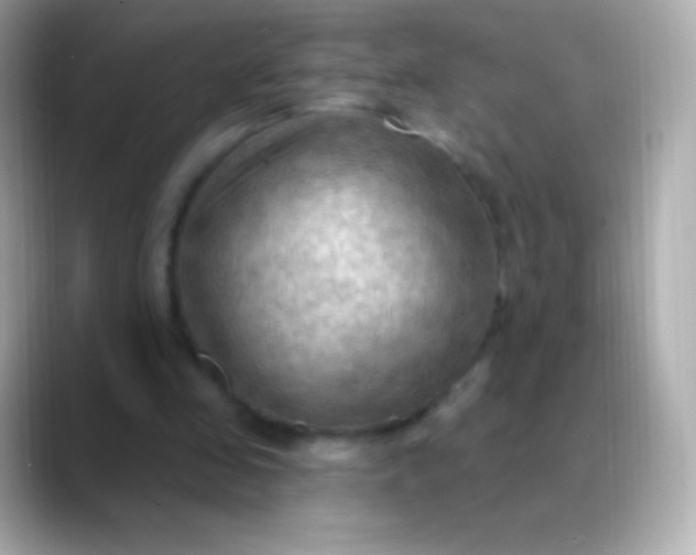 X0000088490341200706051422