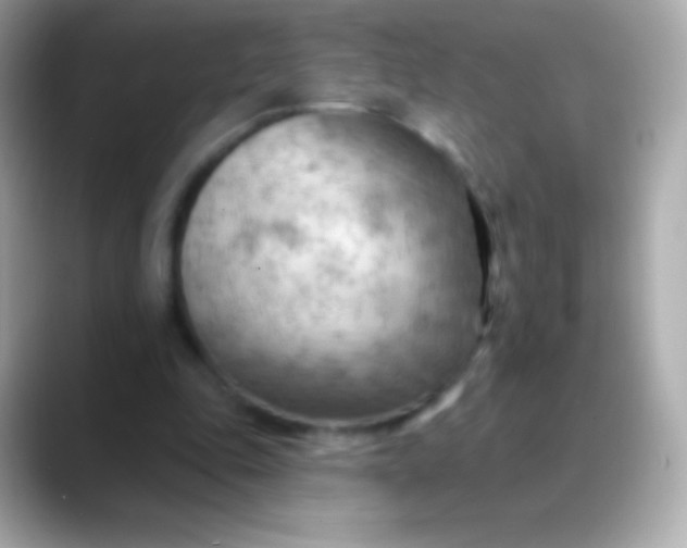 X0000088490343200706051422