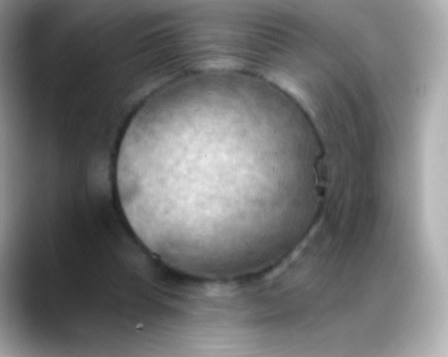 X0000088490345200706051422