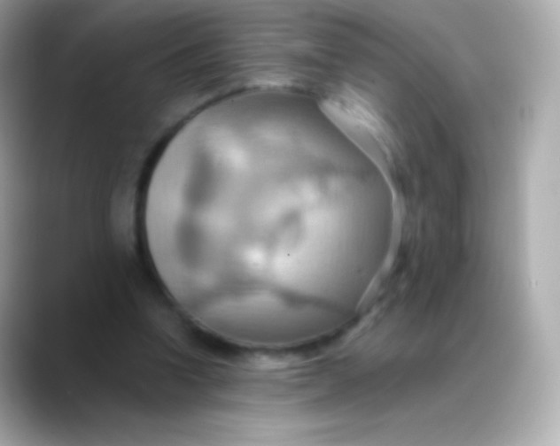 X0000088490346200706051422