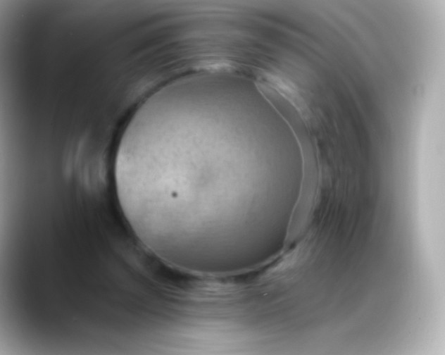 X0000088490347200706051422