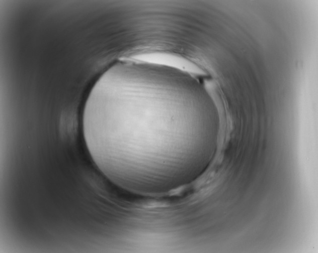 X0000088490348200706051422