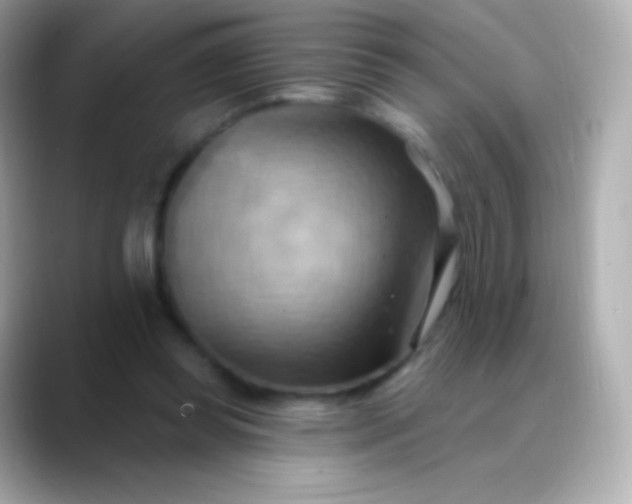 X0000088490349200706051422