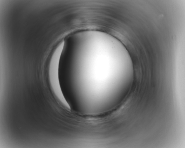 X0000088490350200706051422