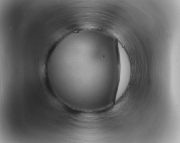 X0000088490351200706051422