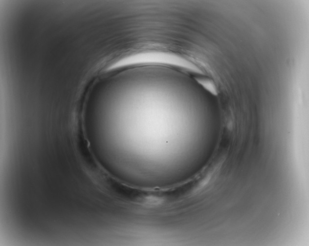 X0000088490352200706051422