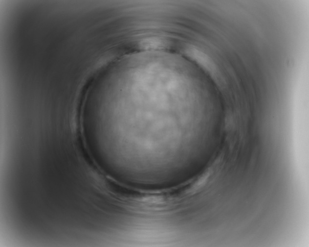 X0000088490353200706051422