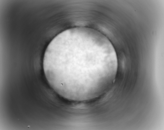 X0000088490354200706051422