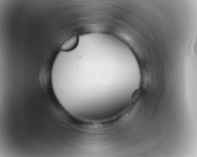 X0000088490355200706051422