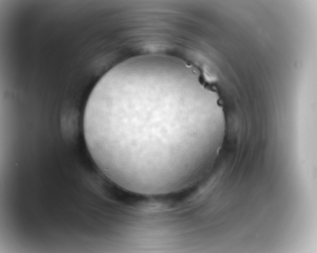 X0000088490356200706051422