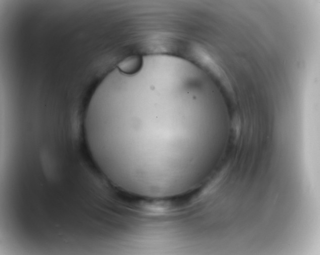 X0000088490359200706051422