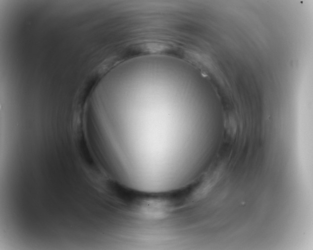 X0000088490360200706051422