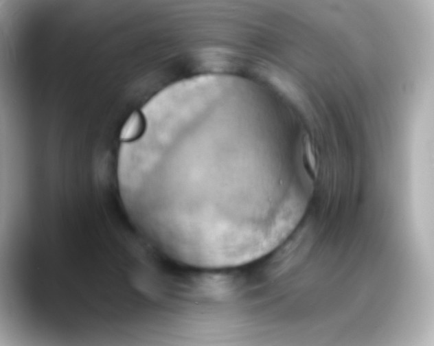 X0000088490361200706051422