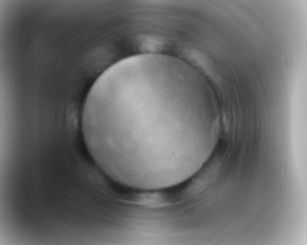 X0000088490363200706051422