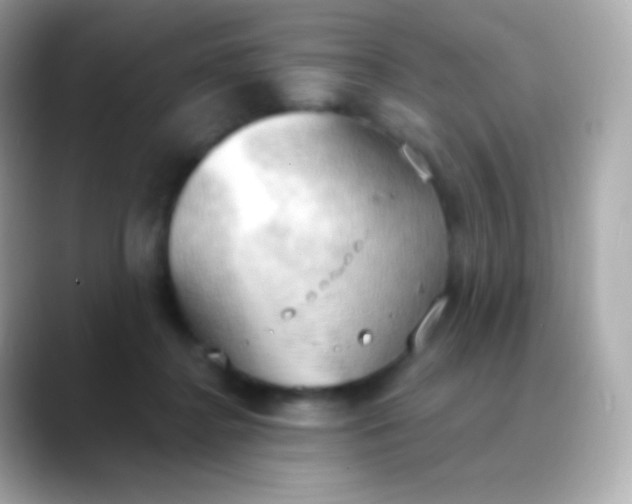 X0000088490364200706051422