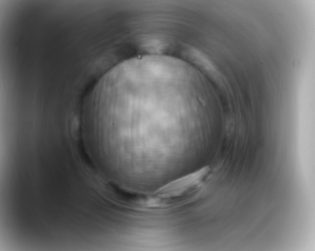 X0000088490365200706051422