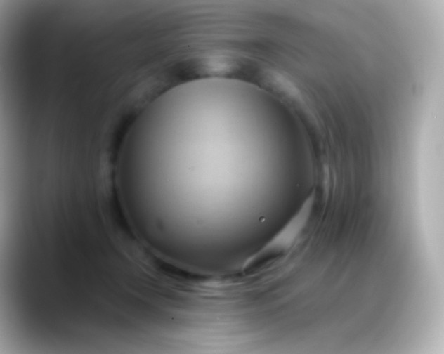 X0000088490366200706051422