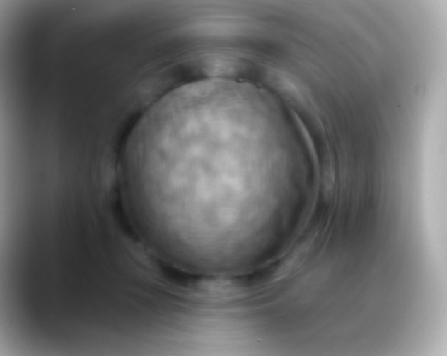 X0000088490367200706051422