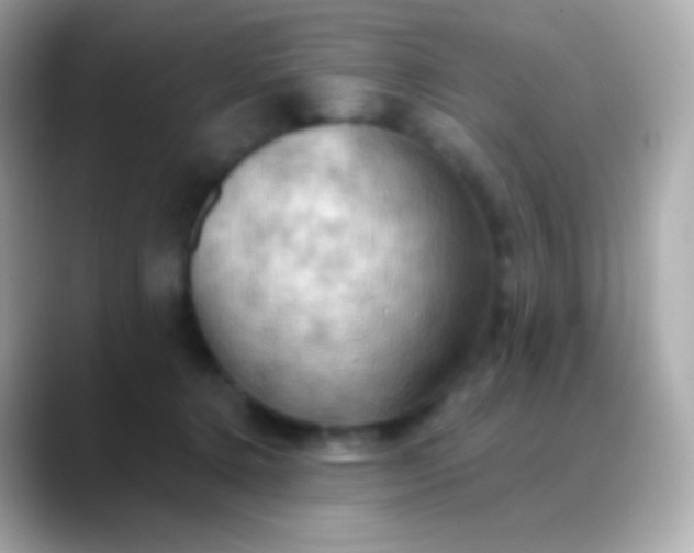 X0000088490368200706051422