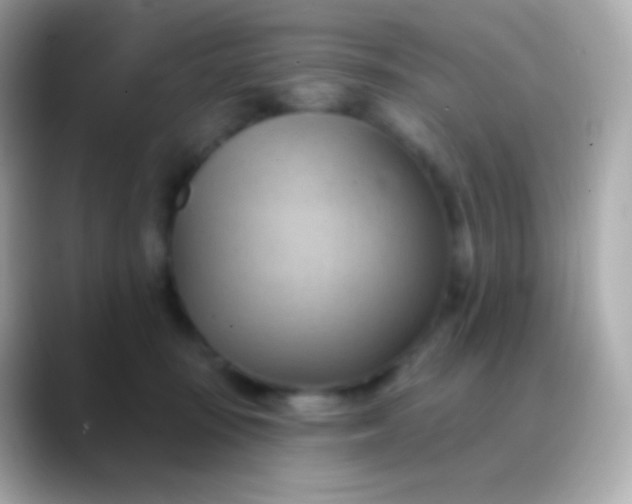 X0000088490371200706051422