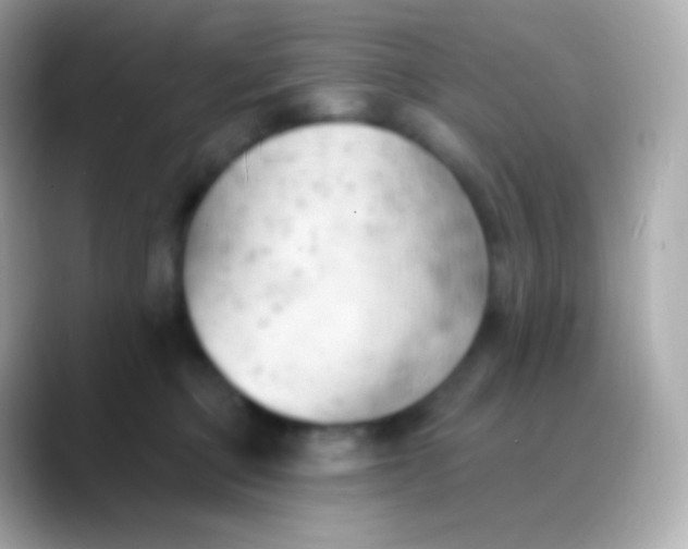 X0000088490373200706051422