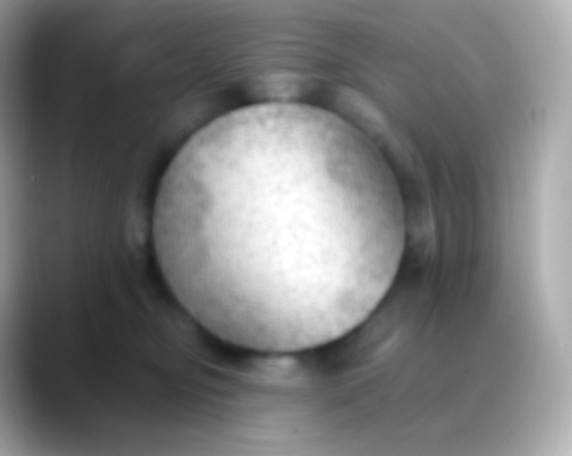 X0000088490374200706051422