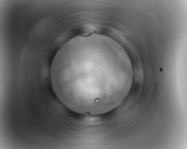 X0000088490375200706051422