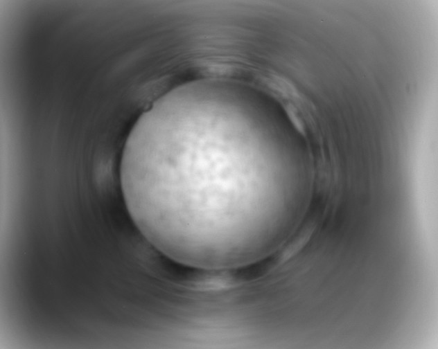 X0000088490377200706051422