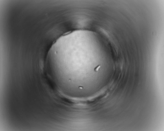 X0000088490380200706051422