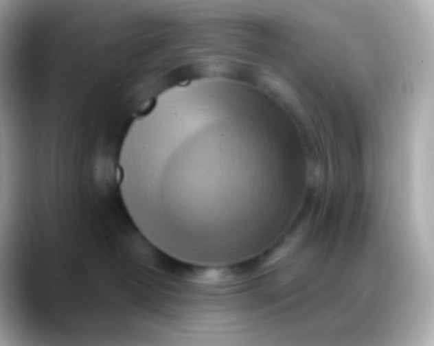 X0000088490382200706051423