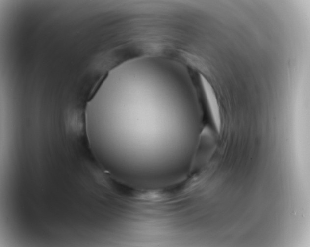 X0000088490383200706051423