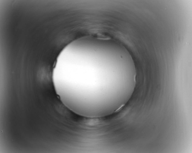 X0000088490384200706051423