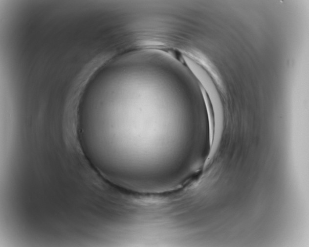 X0000088490385200706051422