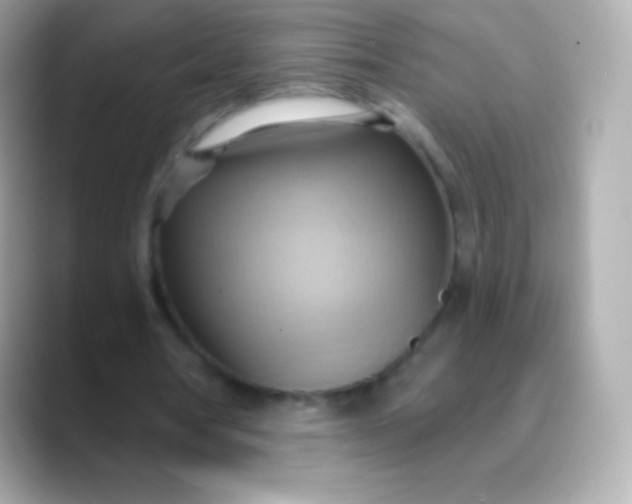 X0000088490386200706051422