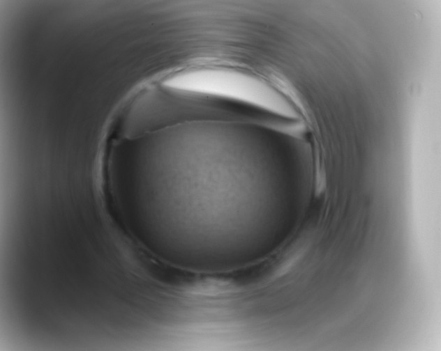 X0000088490387200706051422