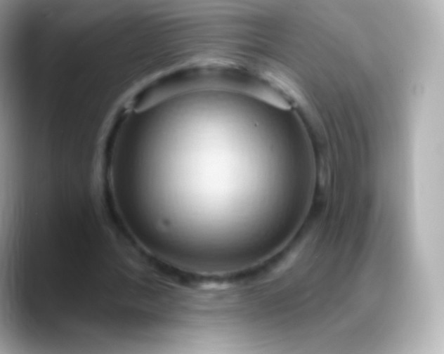 X0000088490388200706051422