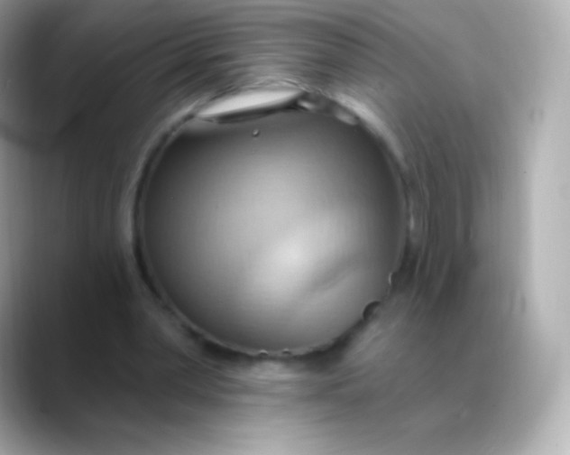 X0000088490390200706051422