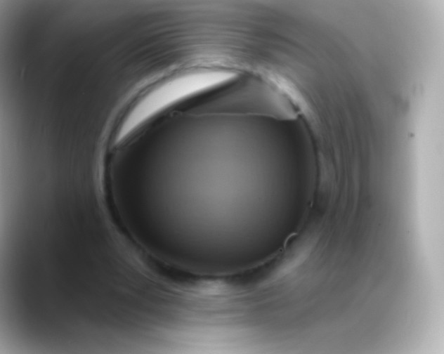 X0000088490391200706051422