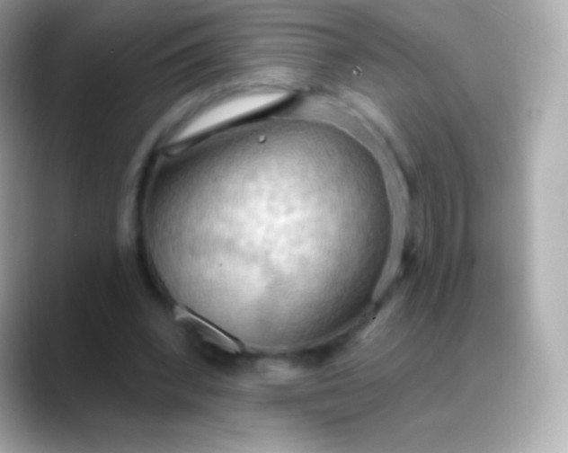 X0000088490392200706051422