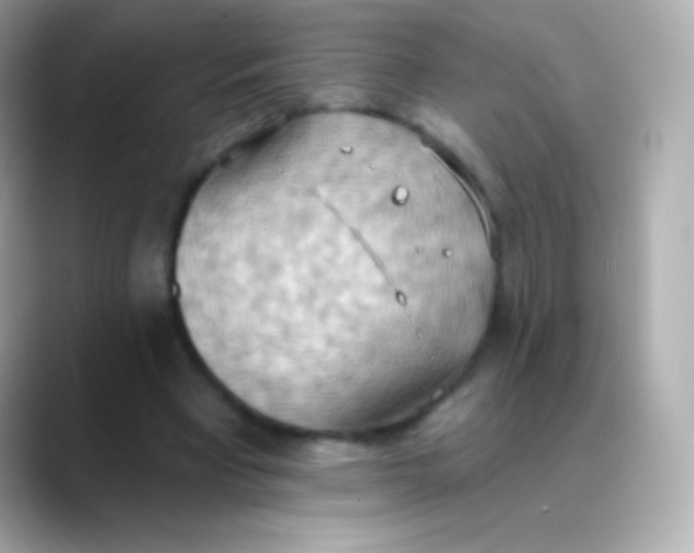 X0000088490393200706051422