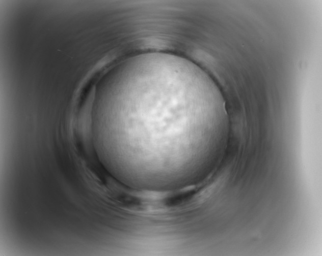 X0000088490395200706051422