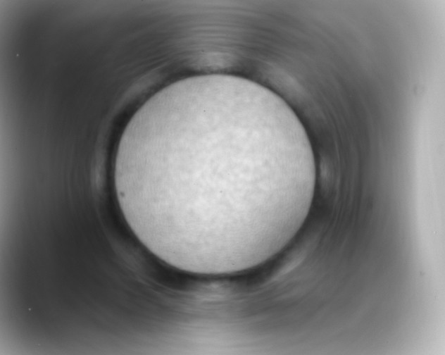 X0000088490396200706051422