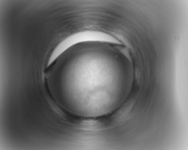 X0000088490397200706051422