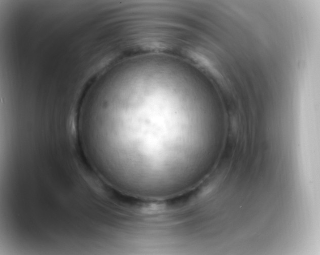 X0000088490398200706051422