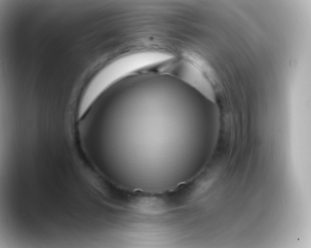 X0000088490399200706051422