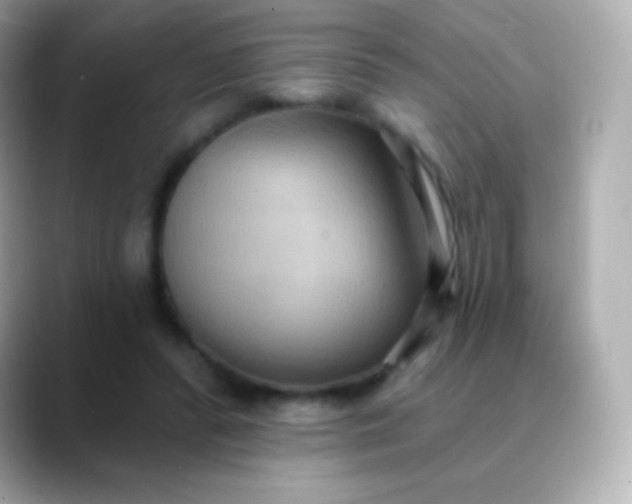 X0000088490400200706051422