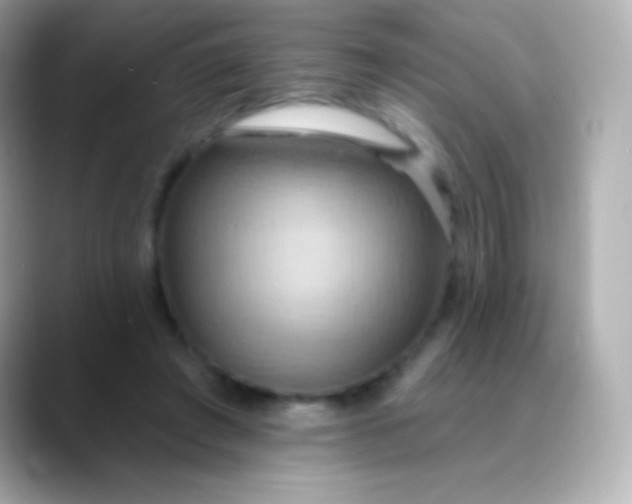 X0000088490401200706051422